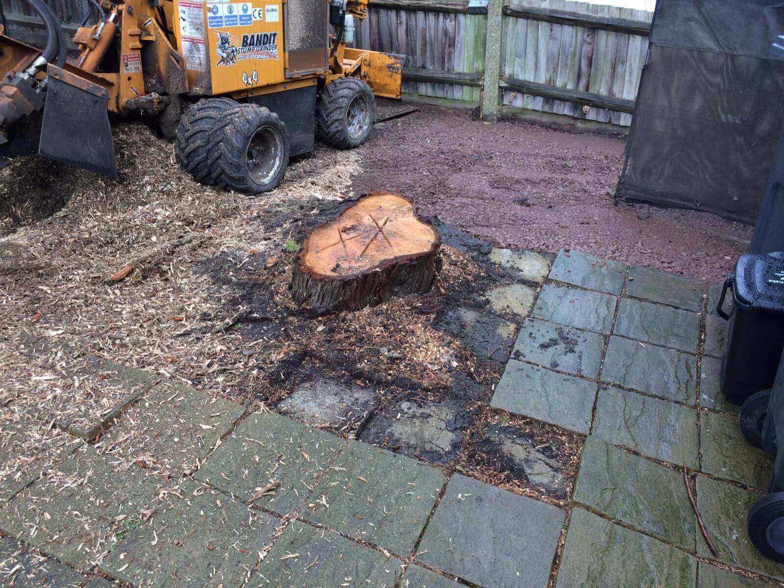 Tree Surgeons Cobham KT11