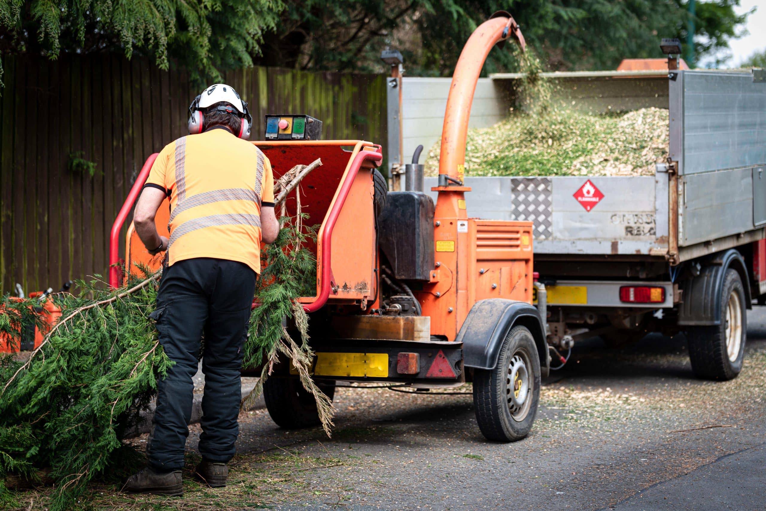 Tree Stump Grinding/Removal Cobham KT11